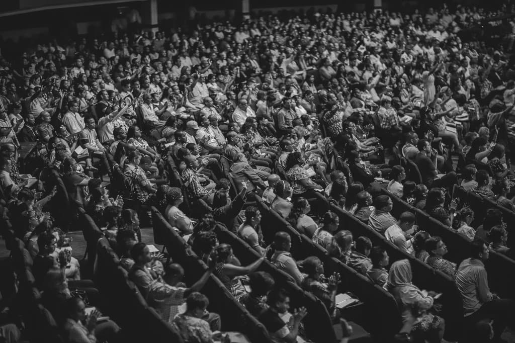 A theatre audience sharing a standing ovation